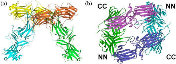 FIGURE 3