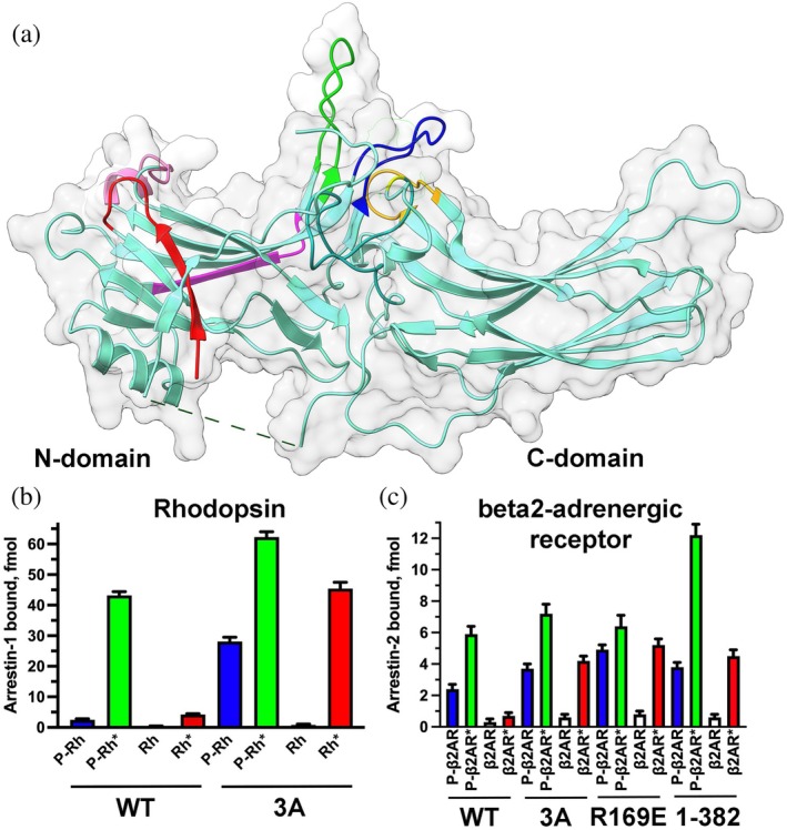 FIGURE 1