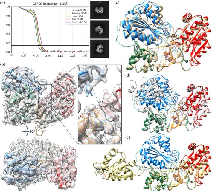 FIGURE 2