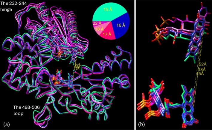 FIGURE 4