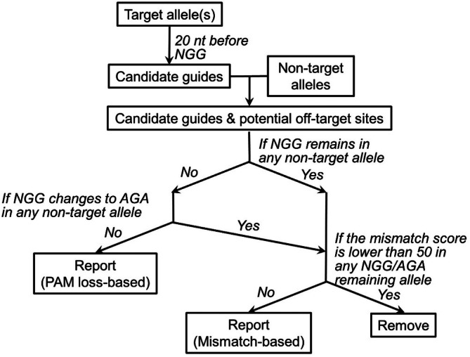 FIGURE 1