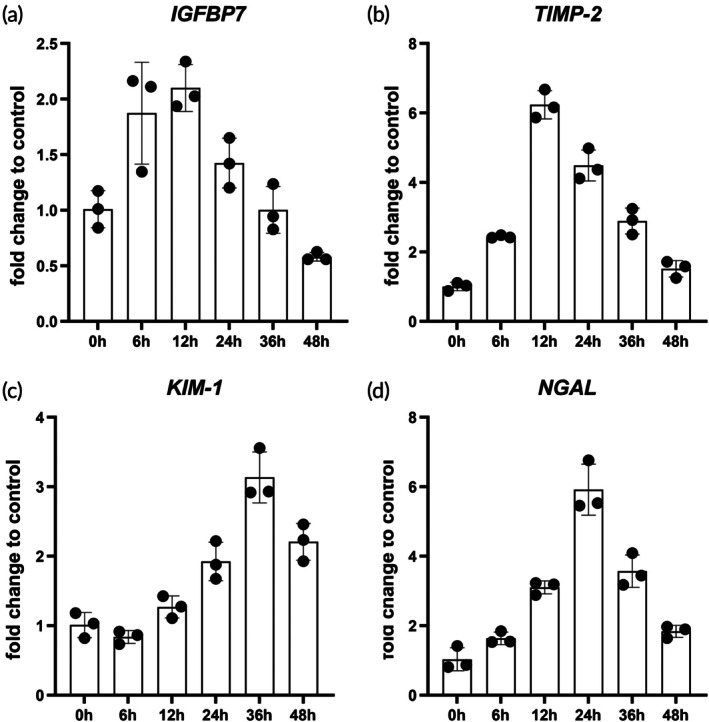 FIGURE 3
