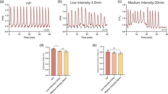 FIGURE 3