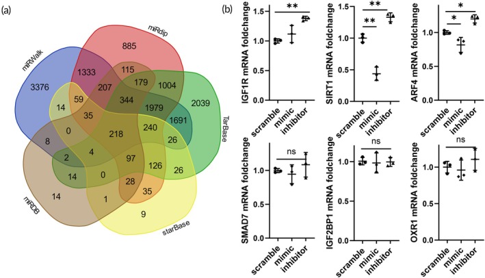 FIGURE 3