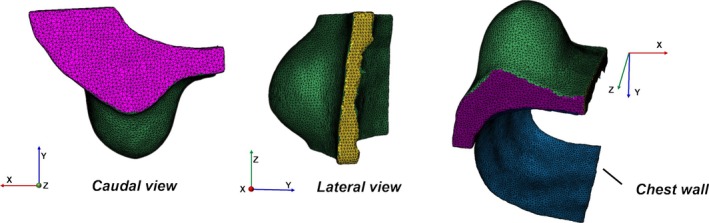 FIGURE 3