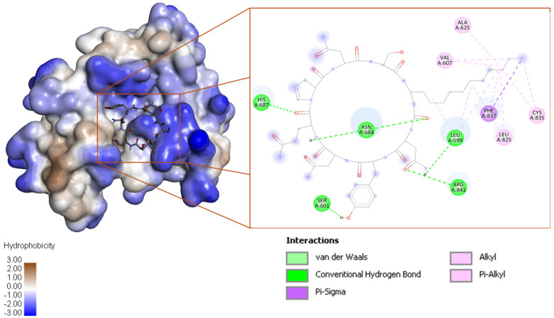 Figure 6
