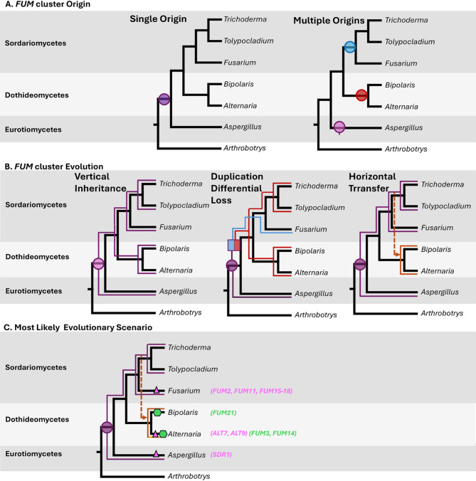 Figure 8