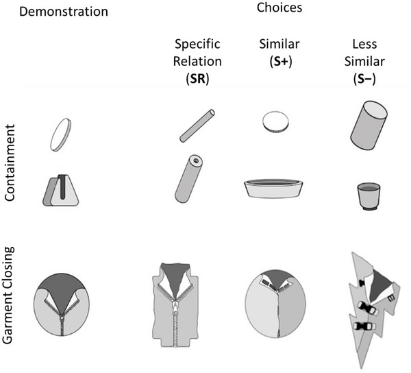 FIGURE 3