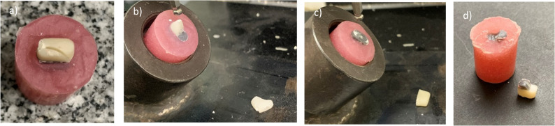 Fig. 7