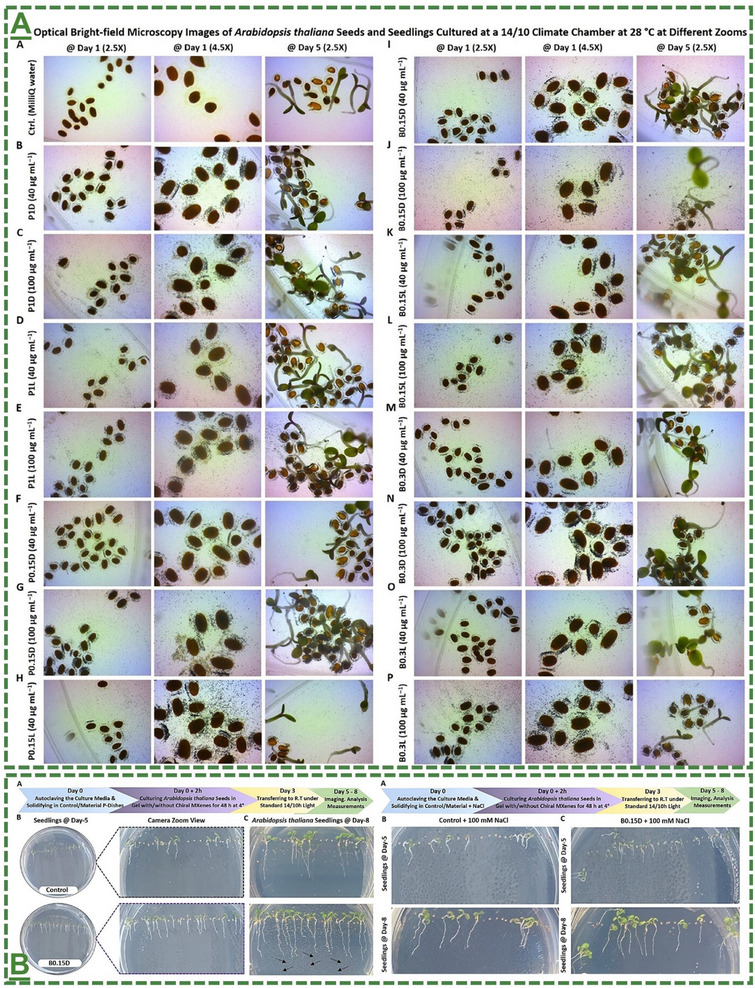 Figure 23
