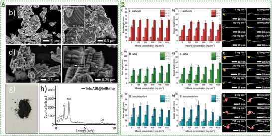 Figure 28