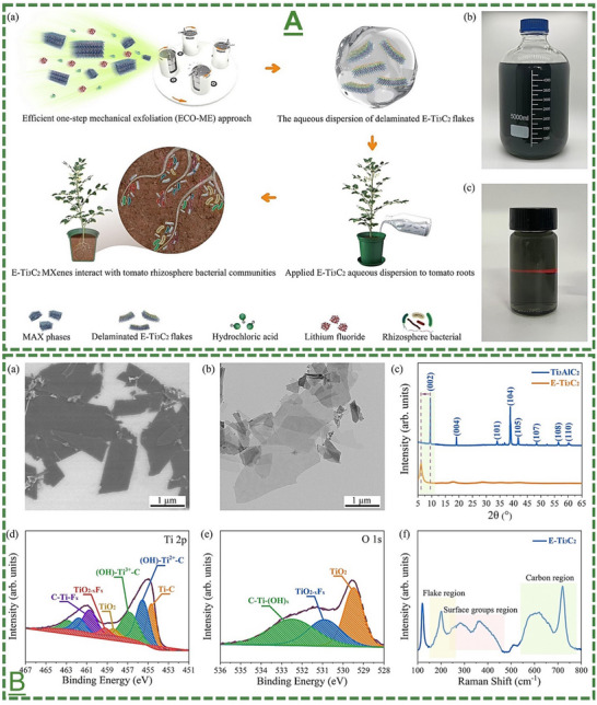 Figure 21