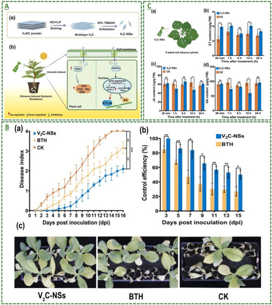 Figure 20