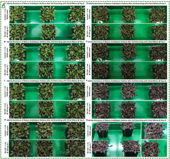 Figure 26