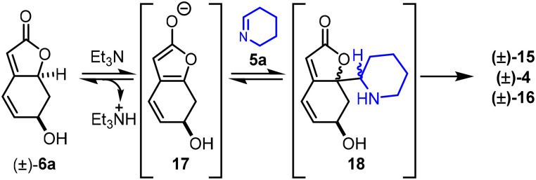 Scheme 2