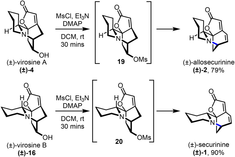 Scheme 3