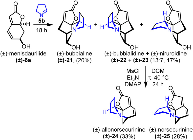 Scheme 4
