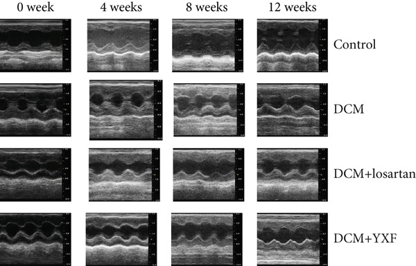 Figure 23