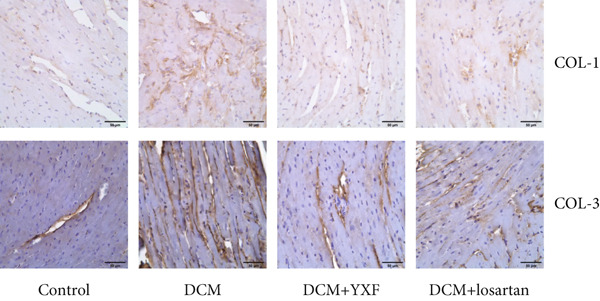 Figure 33