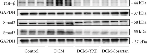 Figure 34