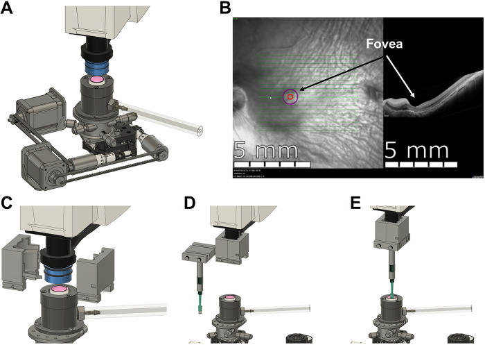 Fig. 2