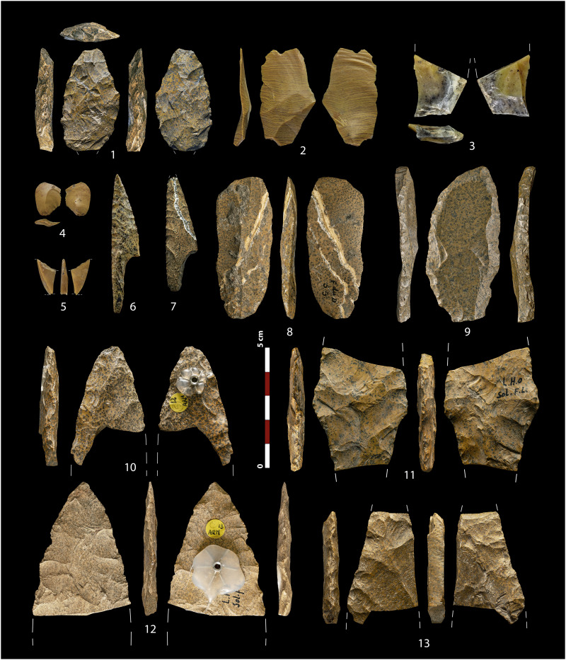 Fig. 1