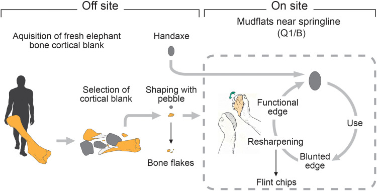 Fig. 10