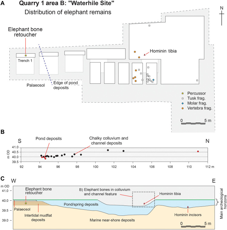 Fig. 4