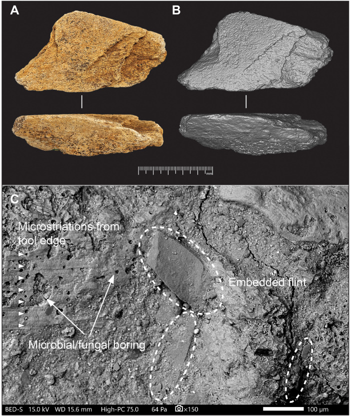 Fig. 5