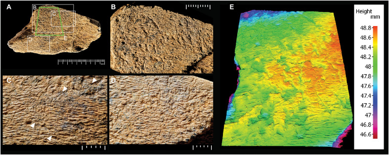 Fig. 7