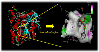 FIGURE 7