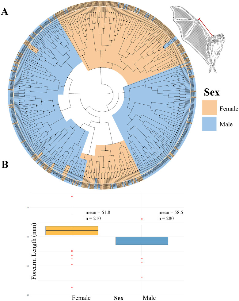 Fig 3