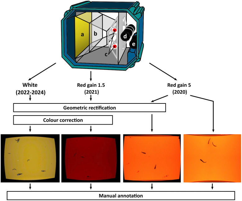 Fig 4