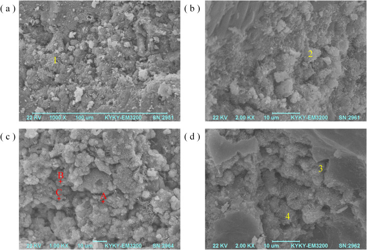 Fig 8
