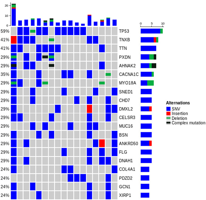 Fig 3