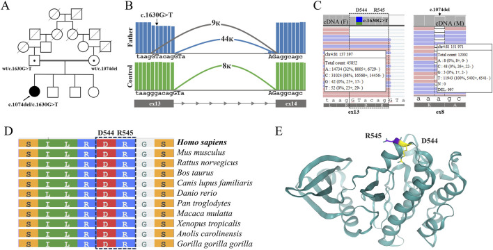 FIGURE 2