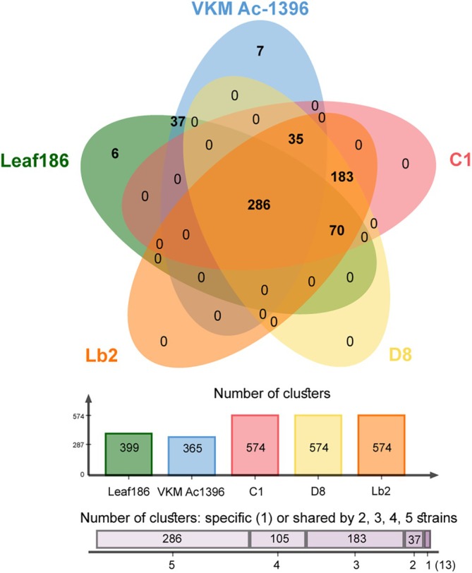 FIGURE 3