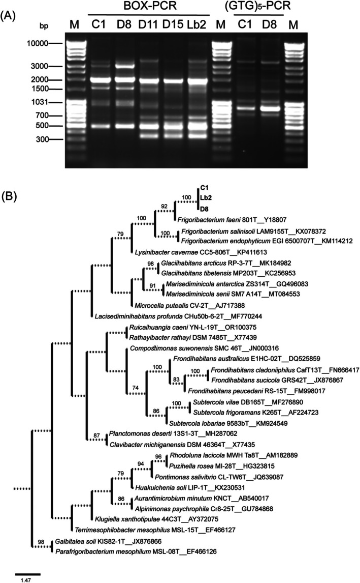 FIGURE 1