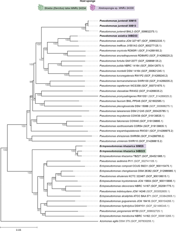 FIGURE 3