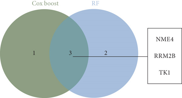 Figure 19