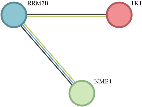 Figure 20