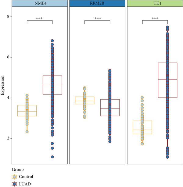Figure 21