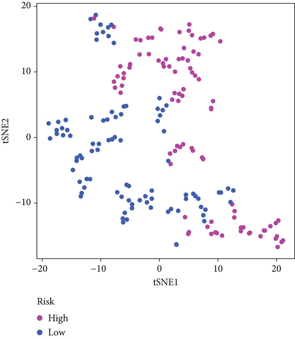 Figure 31