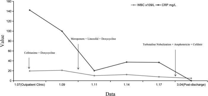 Figure 3