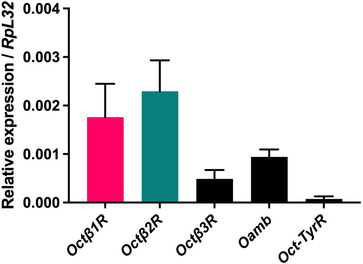 Figure 1