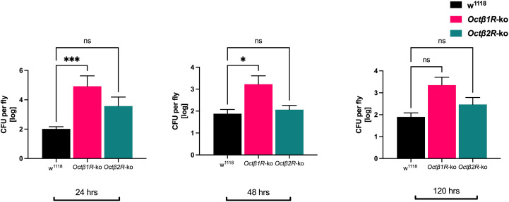 Figure 3