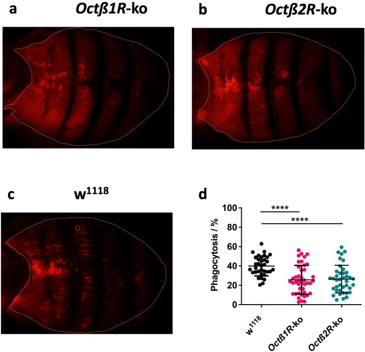 Figure 5