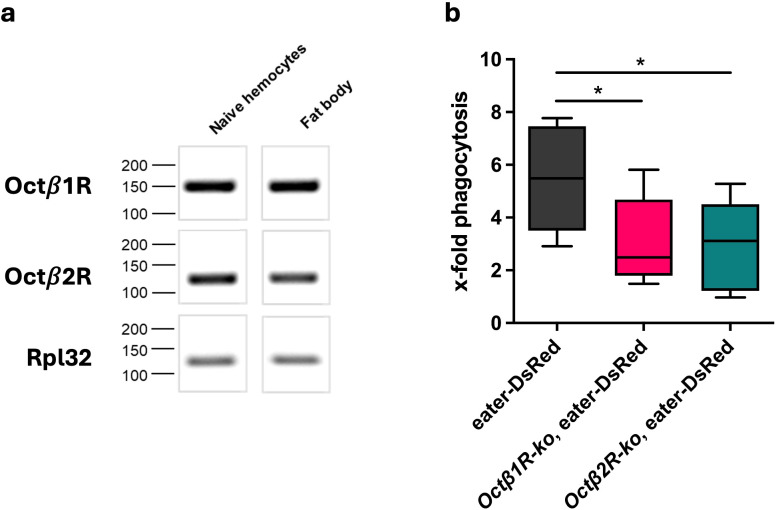 Figure 6