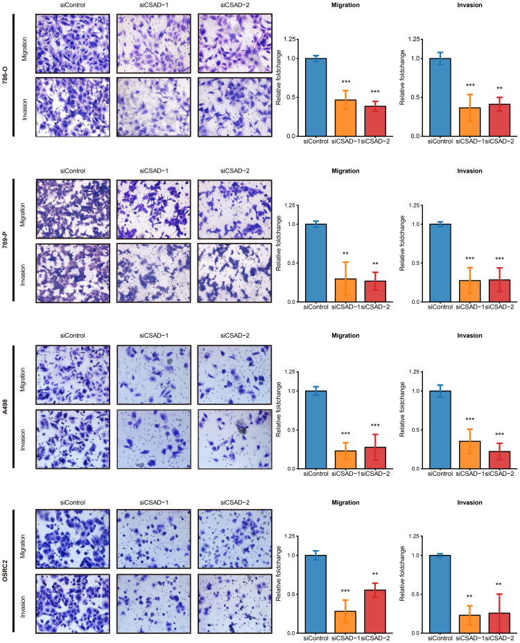 Figure 6
