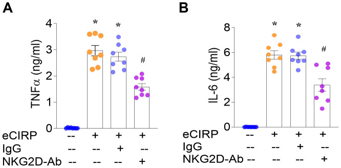 Figure 5
